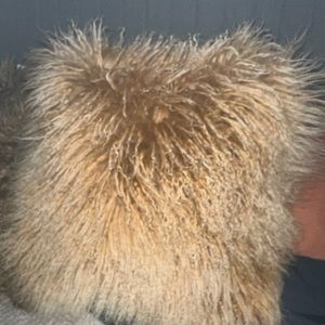 Brown Overland Pillow